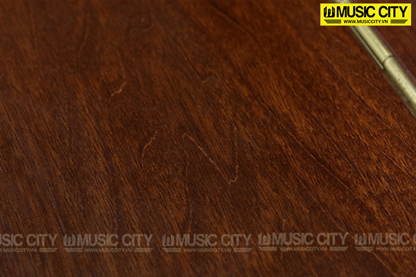 Music City – Tổng Kho Piano, Guitar, Organ | Dịch Vụ Giáo Dục Âm Nhạc