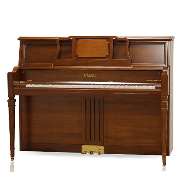 Music City – Tổng Kho Piano, Guitar, Organ | Dịch Vụ Giáo Dục Âm Nhạc