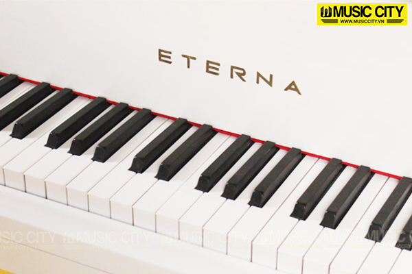 Music City – Tổng Kho Piano, Guitar, Organ | Dịch Vụ Giáo Dục Âm Nhạc