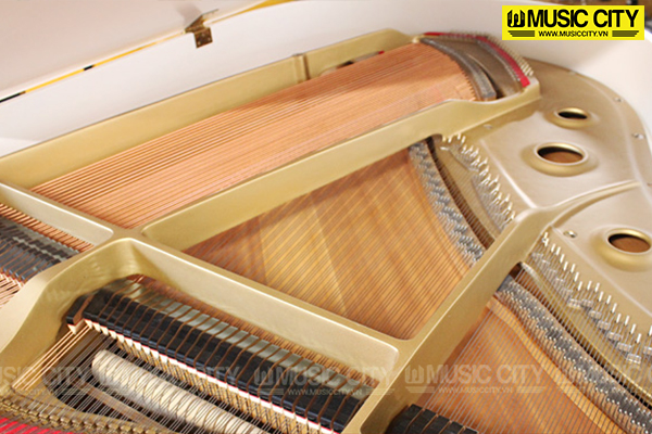 Music City – Tổng Kho Piano, Guitar, Organ | Dịch Vụ Giáo Dục Âm Nhạc