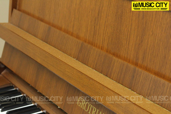 Music City – Tổng Kho Piano, Guitar, Organ | Dịch Vụ Giáo Dục Âm Nhạc