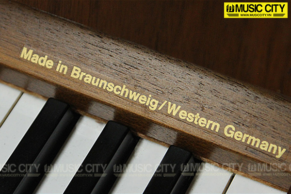 Music City – Tổng Kho Piano, Guitar, Organ | Dịch Vụ Giáo Dục Âm Nhạc