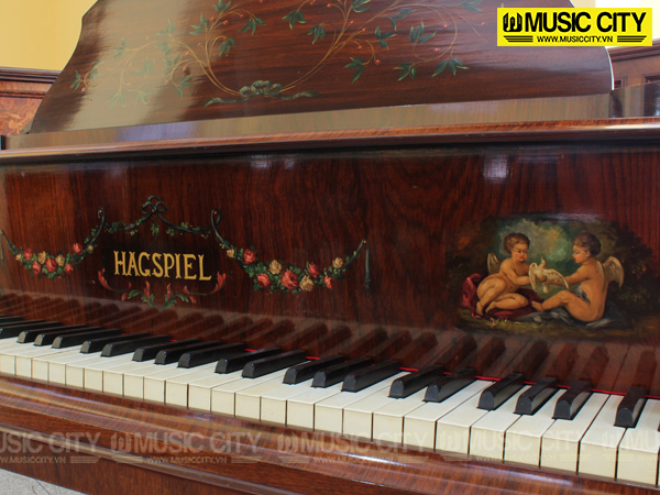 Đàn Grand Hagspiel 153 - Ảnh 4