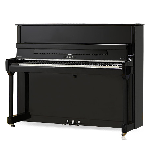 Music City – Tổng Kho Piano, Guitar, Organ | Dịch Vụ Giáo Dục Âm Nhạc