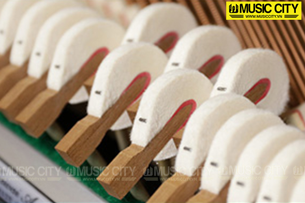 Music City – Tổng Kho Piano, Guitar, Organ | Dịch Vụ Giáo Dục Âm Nhạc