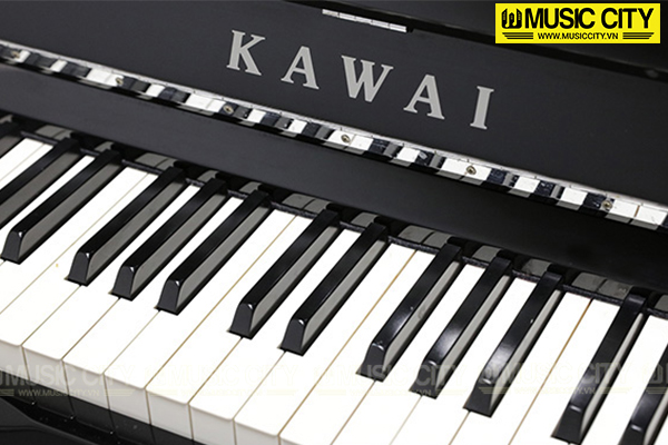 Music City – Tổng Kho Piano, Guitar, Organ | Dịch Vụ Giáo Dục Âm Nhạc