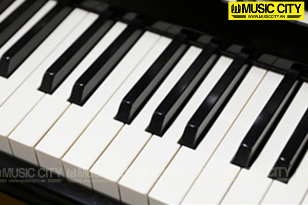 Music City – Tổng Kho Piano, Guitar, Organ | Dịch Vụ Giáo Dục Âm Nhạc