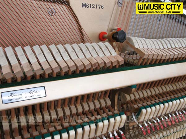 Music City – Tổng Kho Piano, Guitar, Organ | Dịch Vụ Giáo Dục Âm Nhạc