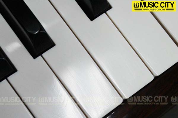 Music City – Tổng Kho Piano, Guitar, Organ | Dịch Vụ Giáo Dục Âm Nhạc