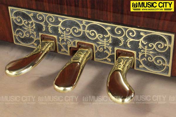 Music City – Tổng Kho Piano, Guitar, Organ | Dịch Vụ Giáo Dục Âm Nhạc