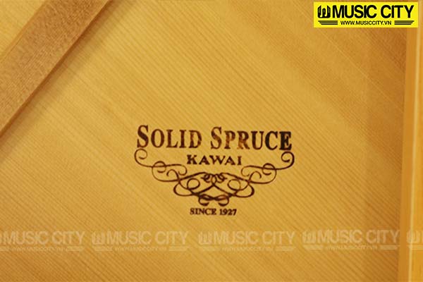 Music City – Tổng Kho Piano, Guitar, Organ | Dịch Vụ Giáo Dục Âm Nhạc