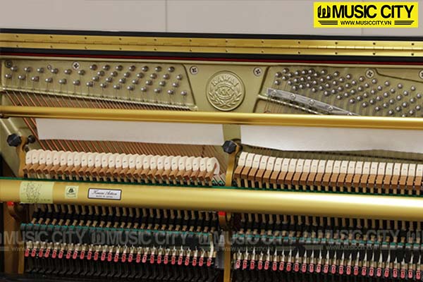 Music City – Tổng Kho Piano, Guitar, Organ | Dịch Vụ Giáo Dục Âm Nhạc