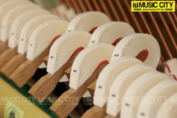 Music City – Tổng Kho Piano, Guitar, Organ | Dịch Vụ Giáo Dục Âm Nhạc