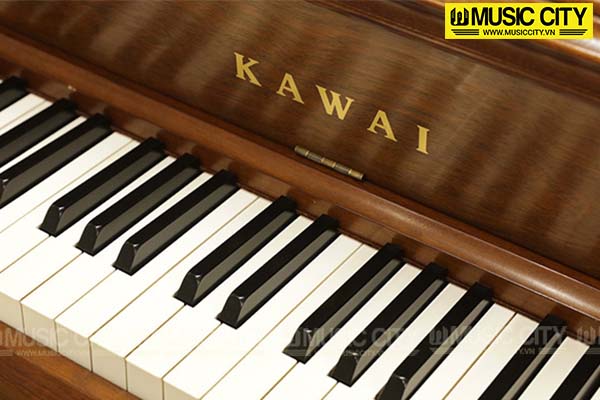 Music City – Tổng Kho Piano, Guitar, Organ | Dịch Vụ Giáo Dục Âm Nhạc