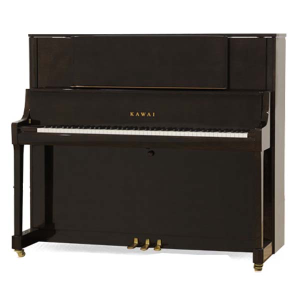 Music City – Tổng Kho Piano, Guitar, Organ | Dịch Vụ Giáo Dục Âm Nhạc
