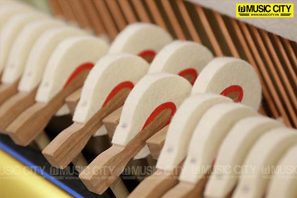 Music City – Tổng Kho Piano, Guitar, Organ | Dịch Vụ Giáo Dục Âm Nhạc