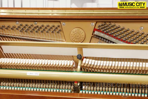 Music City – Tổng Kho Piano, Guitar, Organ | Dịch Vụ Giáo Dục Âm Nhạc