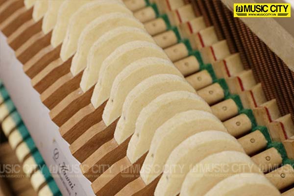 Music City – Tổng Kho Piano, Guitar, Organ | Dịch Vụ Giáo Dục Âm Nhạc