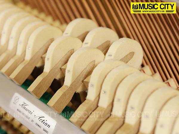 Music City – Tổng Kho Piano, Guitar, Organ | Dịch Vụ Giáo Dục Âm Nhạc
