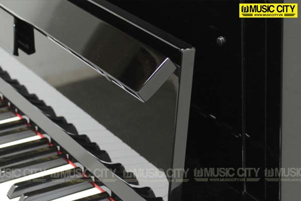 Music City – Tổng Kho Piano, Guitar, Organ | Dịch Vụ Giáo Dục Âm Nhạc