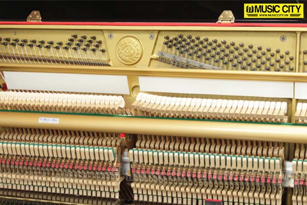 Music City – Tổng Kho Piano, Guitar, Organ | Dịch Vụ Giáo Dục Âm Nhạc