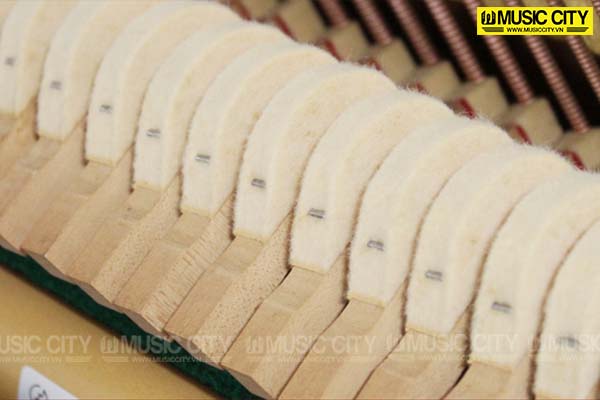 Music City – Tổng Kho Piano, Guitar, Organ | Dịch Vụ Giáo Dục Âm Nhạc