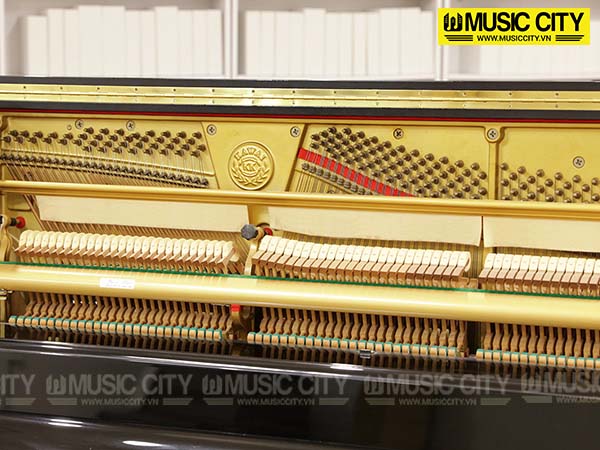 Music City – Tổng Kho Piano, Guitar, Organ | Dịch Vụ Giáo Dục Âm Nhạc