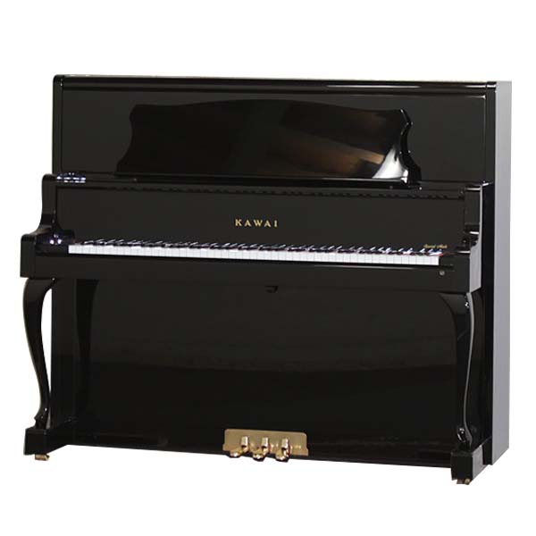 Music City – Tổng Kho Piano, Guitar, Organ | Dịch Vụ Giáo Dục Âm Nhạc