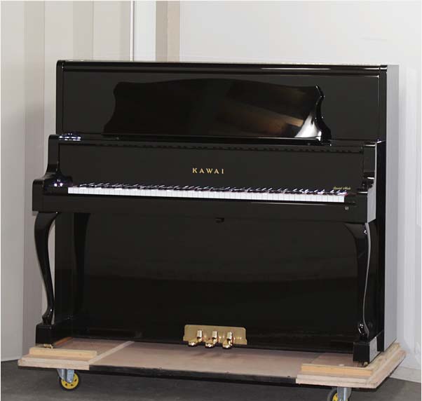 Music City – Tổng Kho Piano, Guitar, Organ | Dịch Vụ Giáo Dục Âm Nhạc