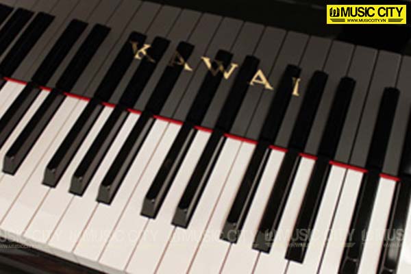 Music City – Tổng Kho Piano, Guitar, Organ | Dịch Vụ Giáo Dục Âm Nhạc