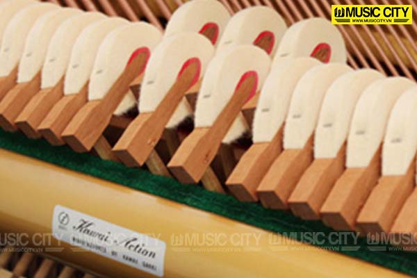 Music City – Tổng Kho Piano, Guitar, Organ | Dịch Vụ Giáo Dục Âm Nhạc