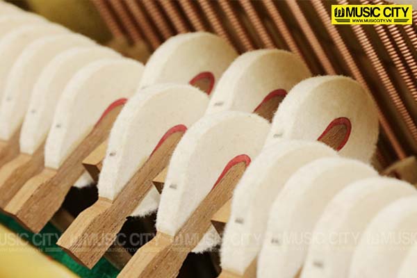 Music City – Tổng Kho Piano, Guitar, Organ | Dịch Vụ Giáo Dục Âm Nhạc