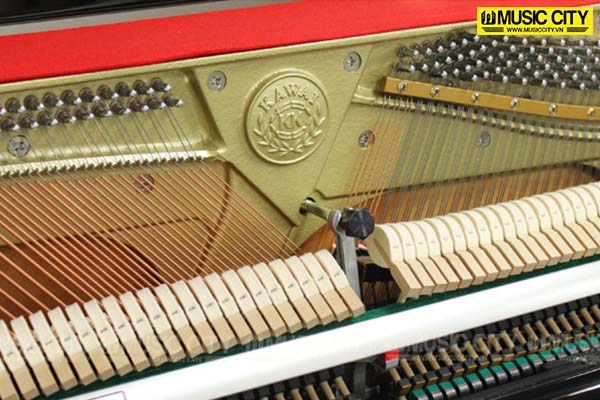 Music City – Tổng Kho Piano, Guitar, Organ | Dịch Vụ Giáo Dục Âm Nhạc
