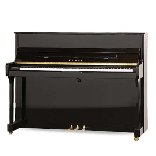 Music City – Tổng Kho Piano, Guitar, Organ | Dịch Vụ Giáo Dục Âm Nhạc