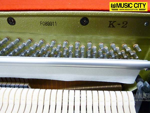 Music City – Tổng Kho Piano, Guitar, Organ | Dịch Vụ Giáo Dục Âm Nhạc