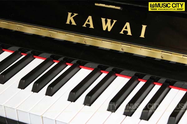Music City – Tổng Kho Piano, Guitar, Organ | Dịch Vụ Giáo Dục Âm Nhạc