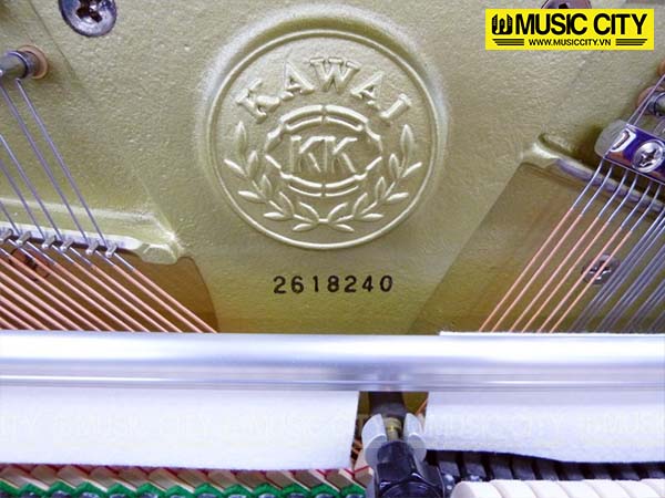 Music City – Tổng Kho Piano, Guitar, Organ | Dịch Vụ Giáo Dục Âm Nhạc