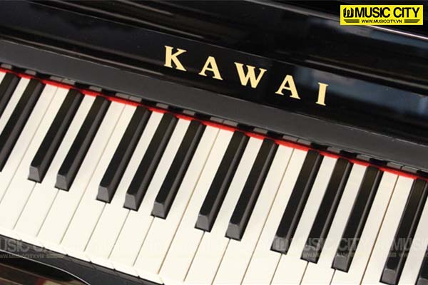 Music City – Tổng Kho Piano, Guitar, Organ | Dịch Vụ Giáo Dục Âm Nhạc