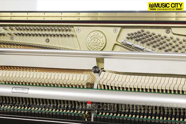 Music City – Tổng Kho Piano, Guitar, Organ | Dịch Vụ Giáo Dục Âm Nhạc