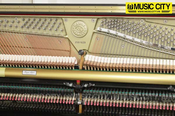 Music City – Tổng Kho Piano, Guitar, Organ | Dịch Vụ Giáo Dục Âm Nhạc