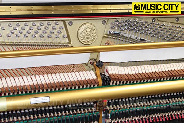 Music City – Tổng Kho Piano, Guitar, Organ | Dịch Vụ Giáo Dục Âm Nhạc