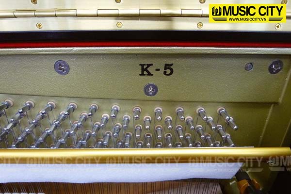 Music City – Tổng Kho Piano, Guitar, Organ | Dịch Vụ Giáo Dục Âm Nhạc