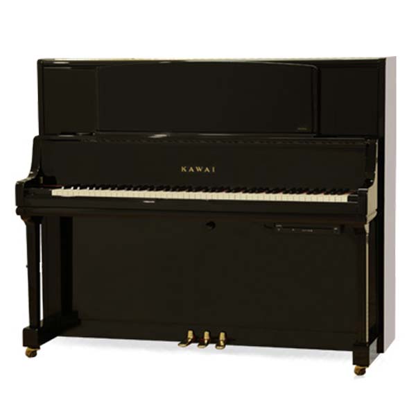 Music City – Tổng Kho Piano, Guitar, Organ | Dịch Vụ Giáo Dục Âm Nhạc