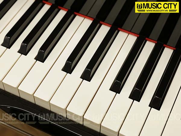 Music City – Tổng Kho Piano, Guitar, Organ | Dịch Vụ Giáo Dục Âm Nhạc
