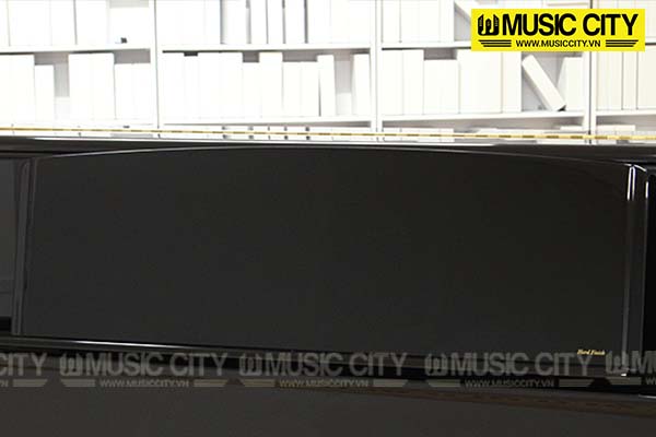 Music City – Tổng Kho Piano, Guitar, Organ | Dịch Vụ Giáo Dục Âm Nhạc