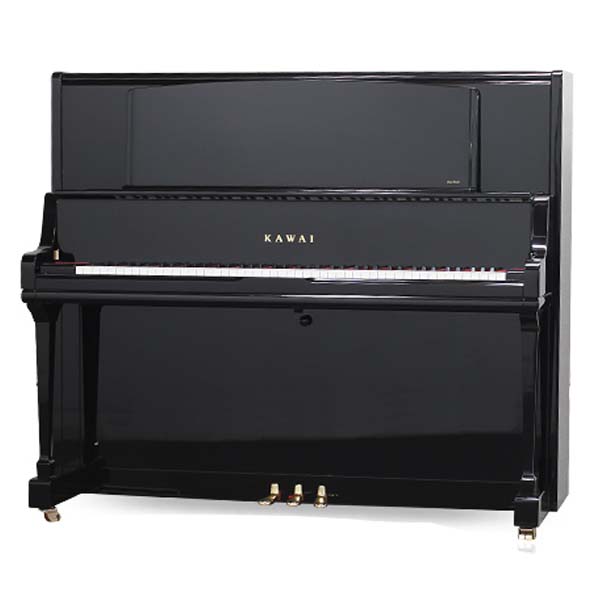 Music City – Tổng Kho Piano, Guitar, Organ | Dịch Vụ Giáo Dục Âm Nhạc
