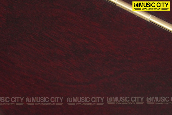 Music City – Tổng Kho Piano, Guitar, Organ | Dịch Vụ Giáo Dục Âm Nhạc
