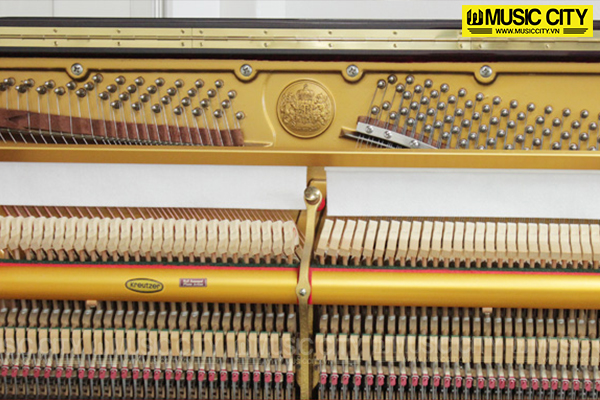 Music City – Tổng Kho Piano, Guitar, Organ | Dịch Vụ Giáo Dục Âm Nhạc