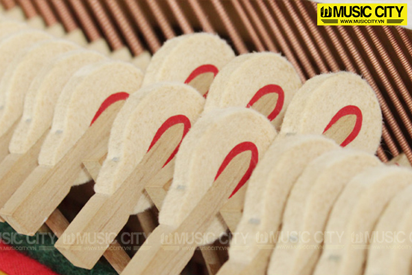 Music City – Tổng Kho Piano, Guitar, Organ | Dịch Vụ Giáo Dục Âm Nhạc