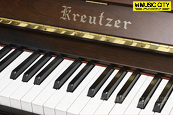 Music City – Tổng Kho Piano, Guitar, Organ | Dịch Vụ Giáo Dục Âm Nhạc